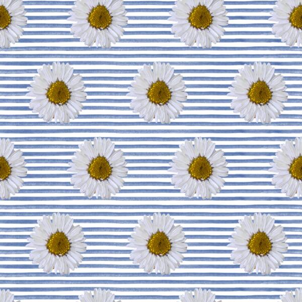 Daisy Stripe On White Thumbnail