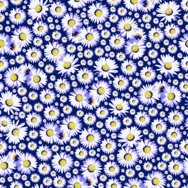 Ditsy Daisy On Navy Thumbnail