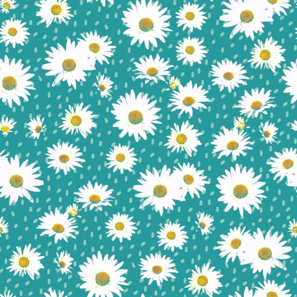 Daisy On Teal Thumbnail